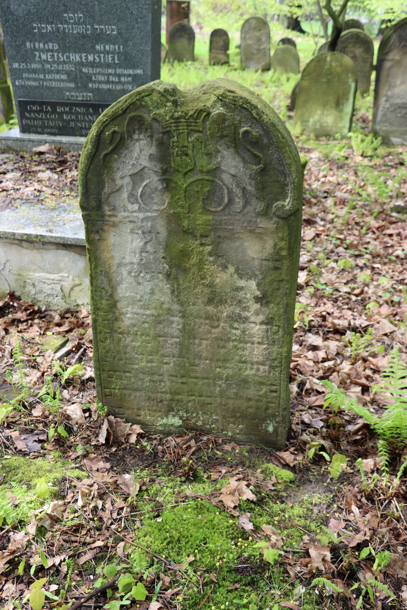 jewish cemeteries Bochnia