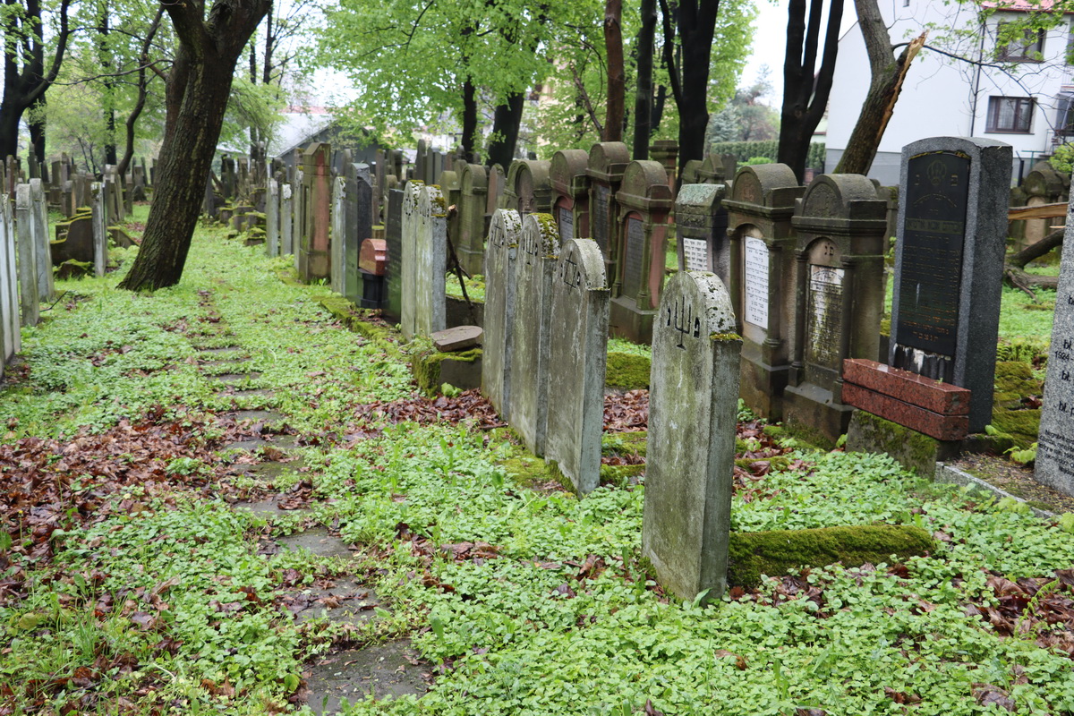 jewish cemeteries Bochnia