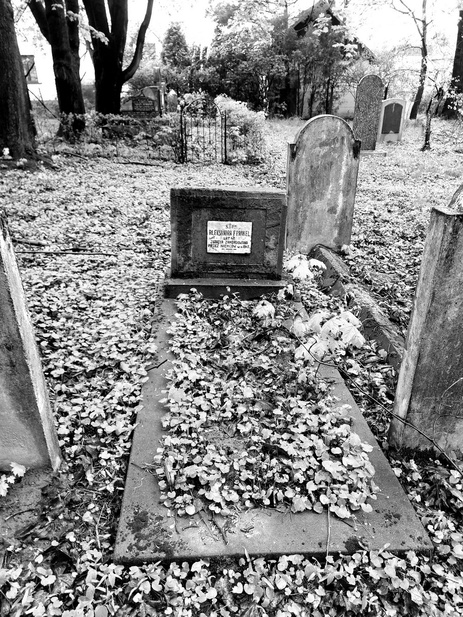 jewish cemeteries Bochnia